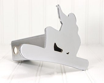 Chrome Snowboarding Hitch Cover 2