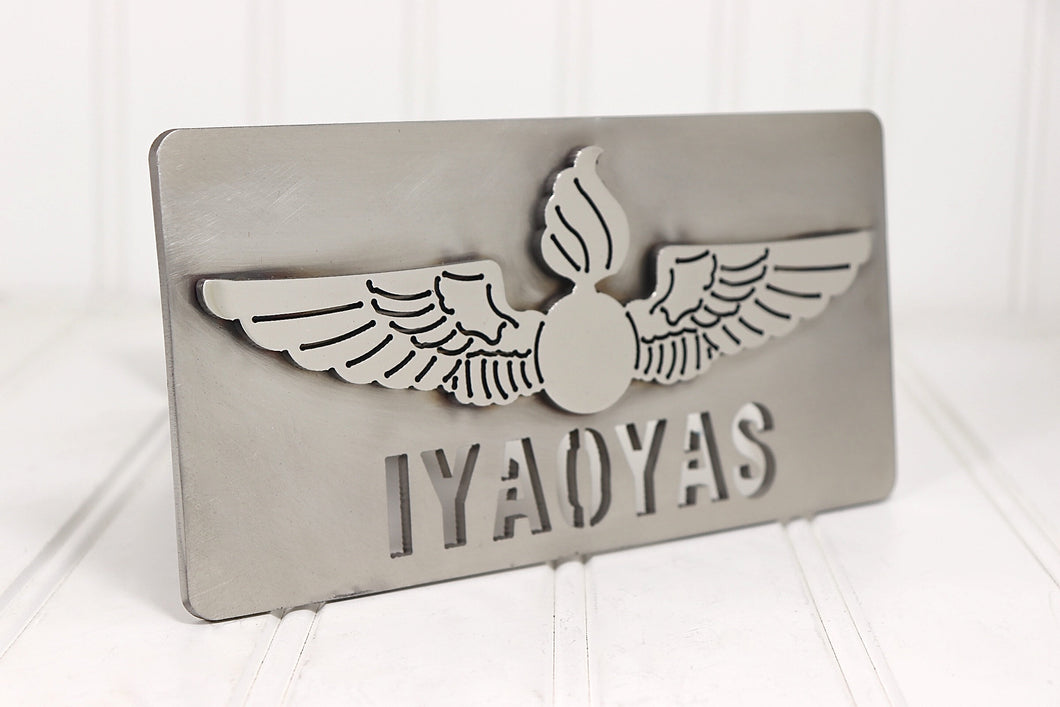Stainless Steel Navy Aviation Ordnance IYAOYAS Hitch Cover, Free Shipping